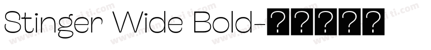 Stinger Wide Bold字体转换
